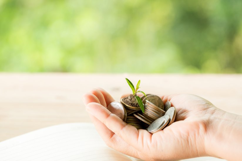 Carbon Credit: il caso Verra