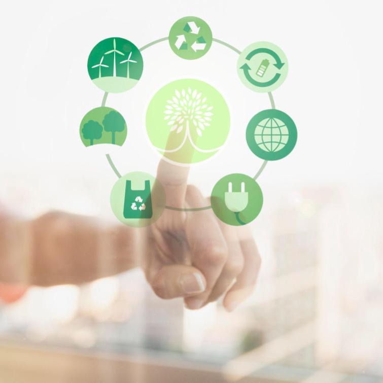 Che cosa sono i Carbon Credit