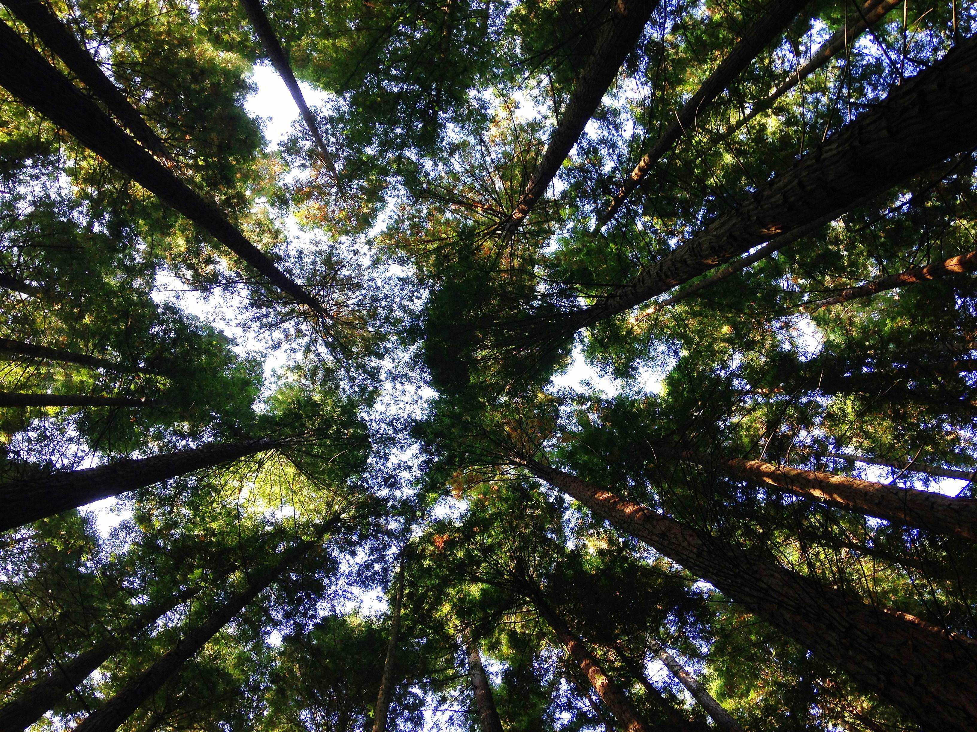  Che cos'è il Greenwashing? Ecco alcuni esempi concreti