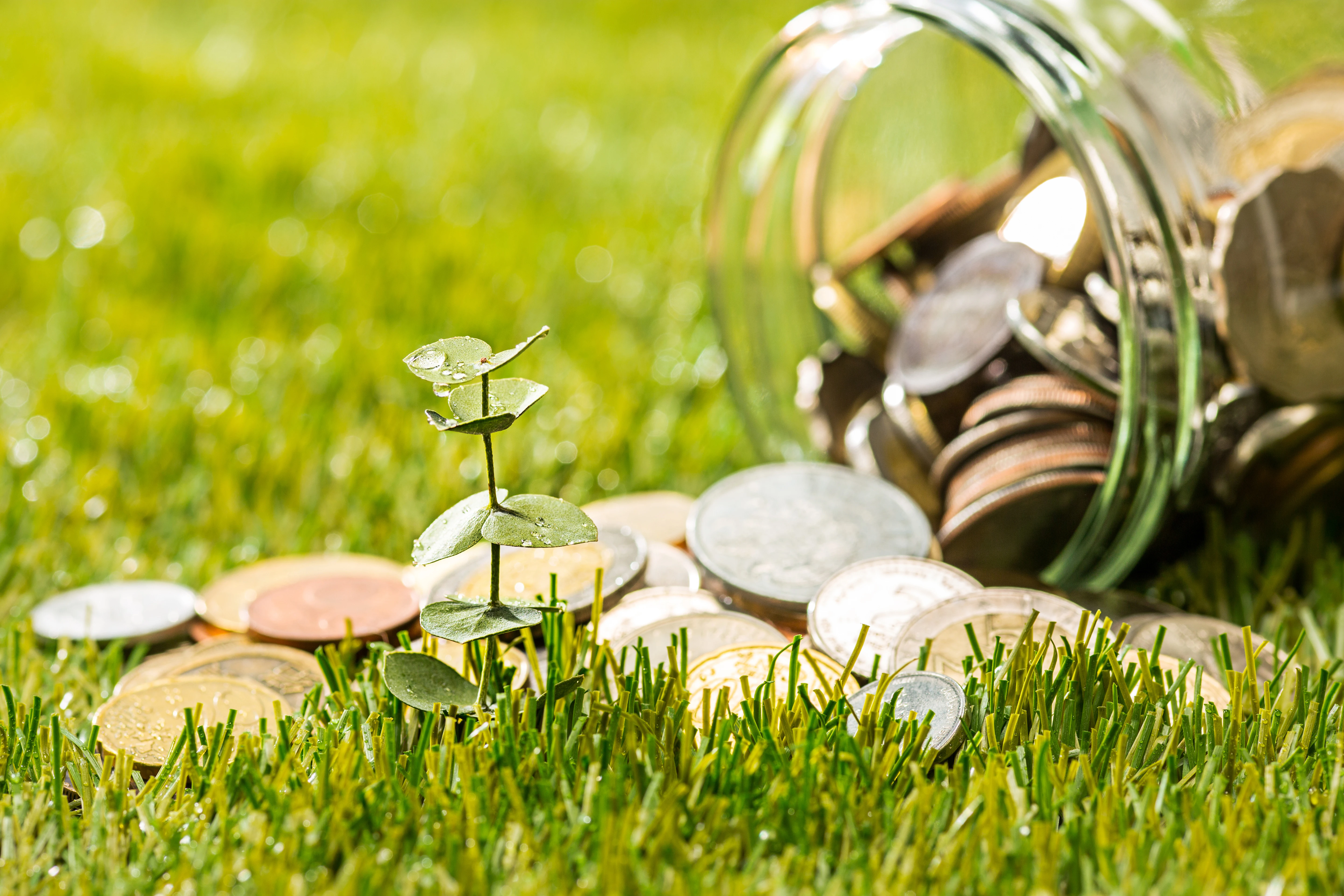 Che cosa ne pensano gli investitori italiani della sostenibilità?
