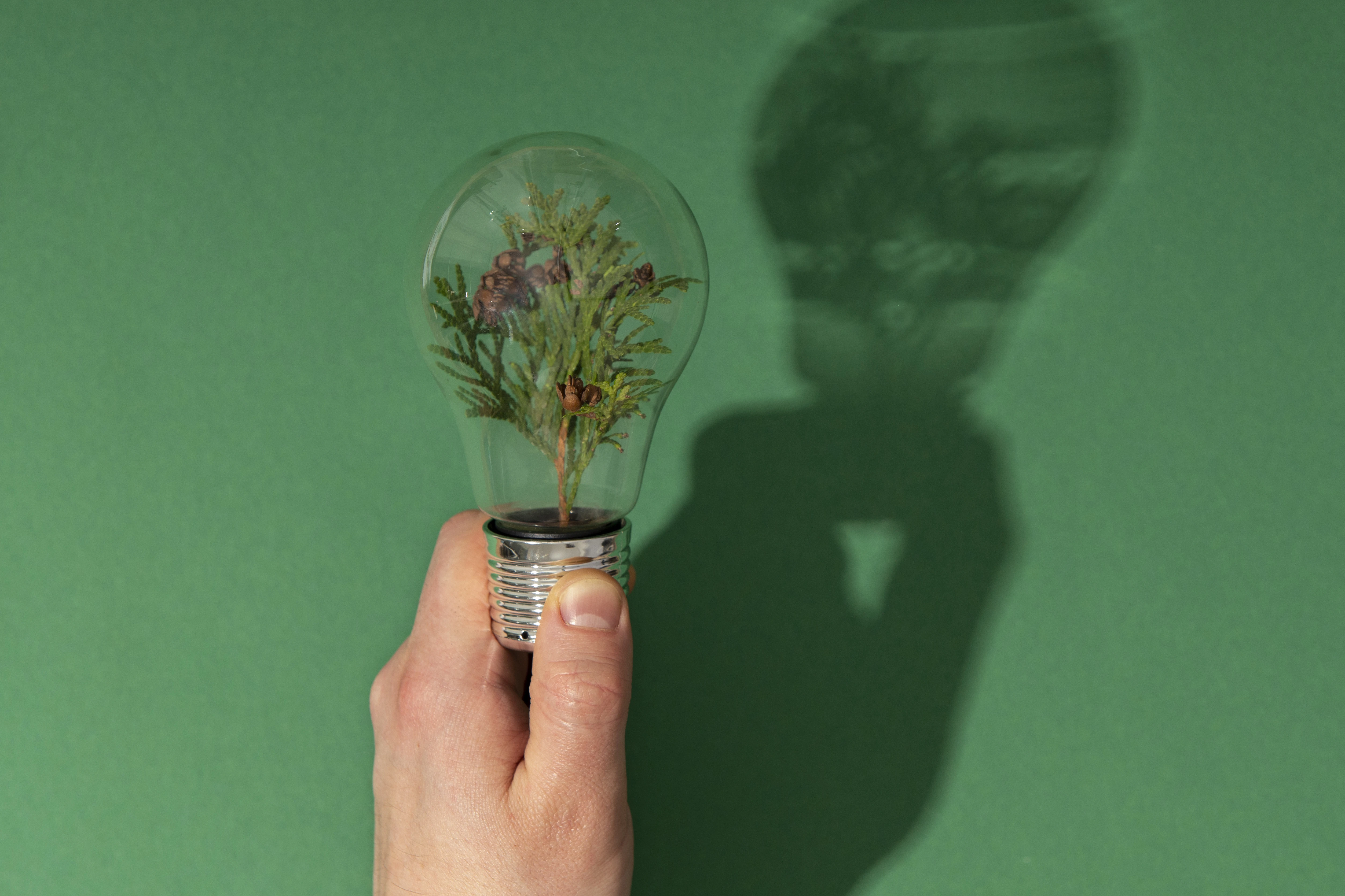 Green Marketing: Strategie che Creano Valore e Combattono il Cambiamento Climatico